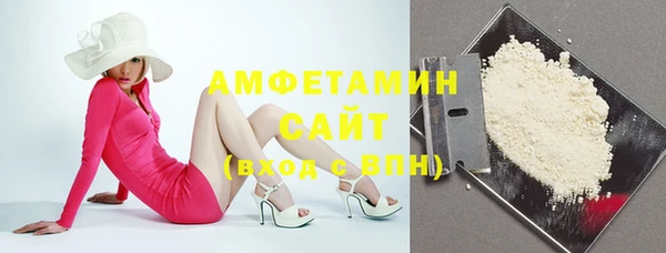 прущие грибы Няндома