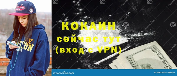 бошки Новозыбков